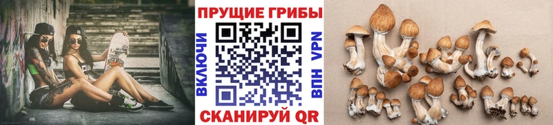 Псилоцибиновые грибы ЛСД  закладка  нарко площадка наркотические препараты  Канаш 